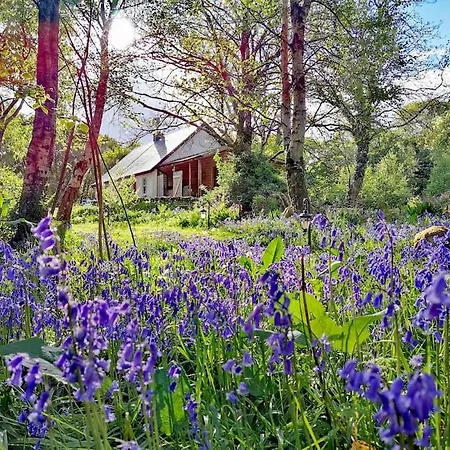 At The Heart Of Teapot Lane Glamping
